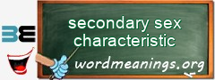 WordMeaning blackboard for secondary sex characteristic